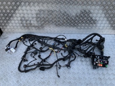 Джгут лівий лонжерон i20 iii 20- 1.0 t-gdi фото №1