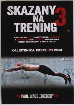 SKAZANY NA TRENING 3 KALISTENIKA EKSPLOZYWNA Wade BDB