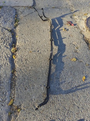 Kia ev6 труба шланг wody трубки акумулятора фото №1