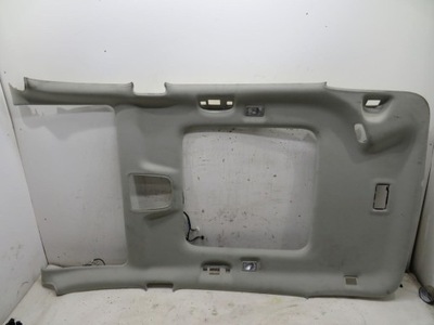 Потолок панорама zafira c фото №1