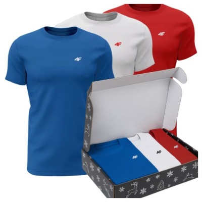 KOSZULKA 4F MĘSKA T-SHIRT ZESTAW BAWEŁNIANY KOMPLET 3PAK ZESTAW ŚWIĄTECZNY