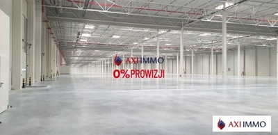 Magazyny i hale, Kutno, Kutno, 4000 m²