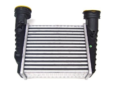 AUŠINTUVAS ORO ĮKRAUNAMOJO INTERCOOLER VW PASSAT B5.5 LIFT 00-05 