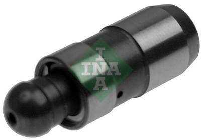 PUSH ROD VALVES 420021810/INA  