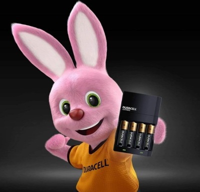 Ładowarka Duracell CEF14EU4 bez akumulatorów