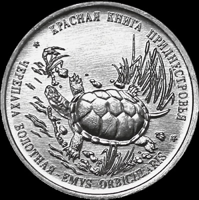 NADDNIESTRZE 1 rubel żółw