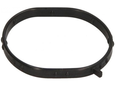 Прокладка термостата фото №1