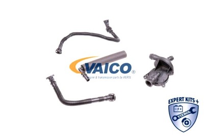 VAICO СЕПАРАТОР МАСЛА BMW 1 E87 3 E46 3 E90 3 E91 Z4 E85 1.8 2.0