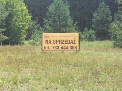 Działka, Obrowo, Obrowo (gm.), 3700 m²