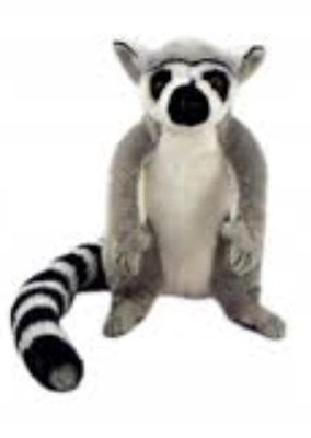 LEMUR 22CM