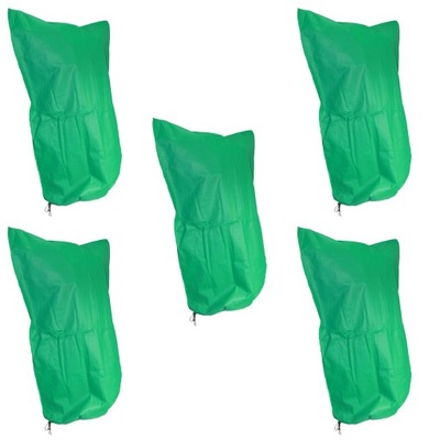 ROŚLINA OKRYWOWA ZIMOWA ROŚLINA ODPORNA NA MROZ