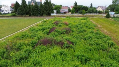 Działka, Pustków, Dębica, Dębicki, 1695 m²