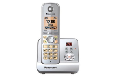 Telefon bezprzewodowy Panasonic KX-TG6861GS W19C19