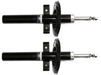 Амортизатори передні renault scenic ii 2003-2009 фото №1