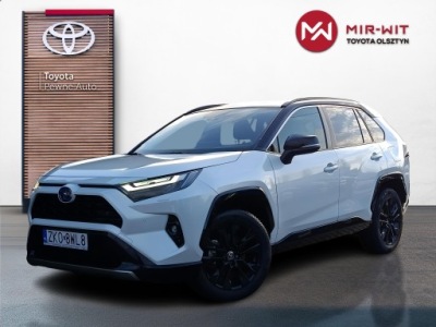 Toyota RAV4 2.5 Hybrid Selection 4x4 V (2018-) Toy