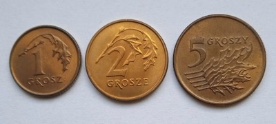 Zestaw 6 monet 1 grosz, 2 grosze, 5 groszy, 1992 i 2002, st.1