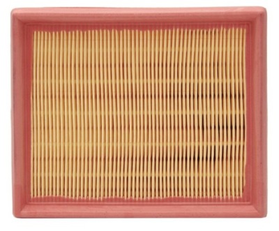 Фільтр повітря citroen berlingo ii 1.9d/2.0hdi peugeot partner ii 1.9/2.0 фото №1