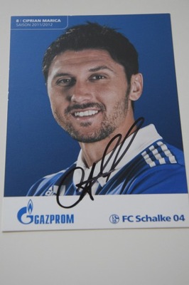 Ciprian Marica - Szachtar Donieck/FC Schalke 04