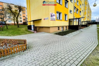 Komercyjne, Czarnków, Czarnków, 43 m²