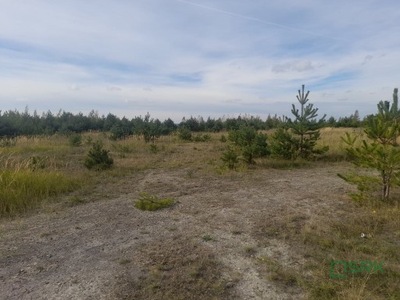 Działka, Katowice, 343161 m²