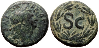 Tytus jako cezar, Antiochia AD Orontem, brąz, 69-79 AD