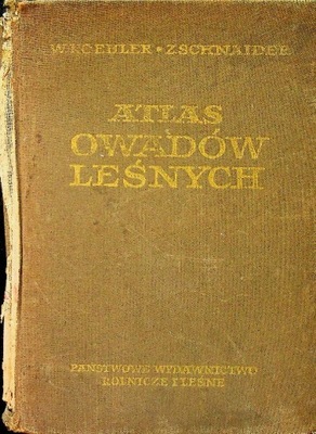 Atlas owadów leśnych