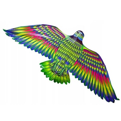 Latawiec Foliowy Latawiec Ptak Jastrząb Kolorowy