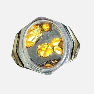 meteoryt,Brenham Meteorite Ring,Jewelry 925 silver