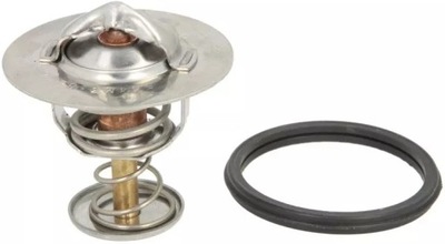 THERMOTEC TERMOSTATO D25001TT  