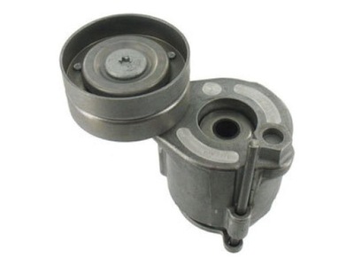 SKF SKF VKM 36111 РОЛИК NAPINACZA, РЕМЕНЬ ПОЛИКЛИНОВЫЙ ПОЛИКЛИНОВЫЙ