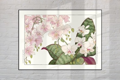 ORCHIDEA sztuka japońska dekoracja vintage 21x30 (A4)