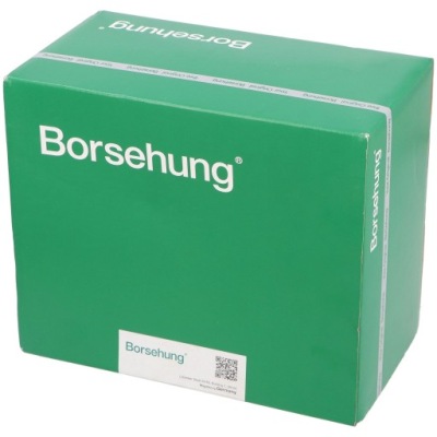 Вентилятор радіатора borsehung фото №1