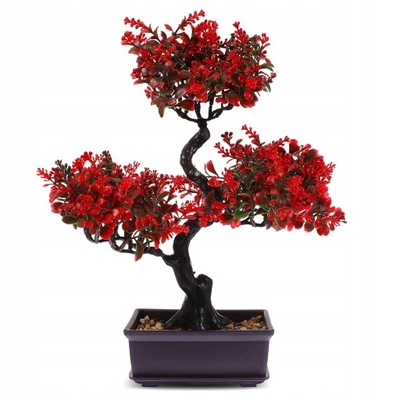 Ogród Zen Rośliny Domowe Drzewko Bonsai Doniczkowe