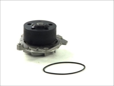 THERMOTEC D1D019TT POMPE WODY, CHLODZENIE DE MOTEUR - milautoparts-fr.ukrlive.com