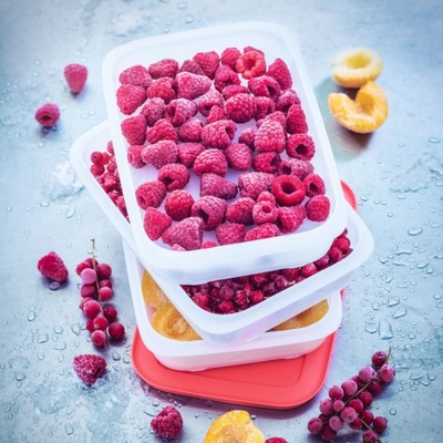 TUPPERWARE Pojemnik do mrożenia piętrowy oryginał