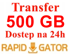 RAPIDGATOR.NET RG.TO 24H KONTO PREMIUM ORYGINALNE LIMIT 500GB