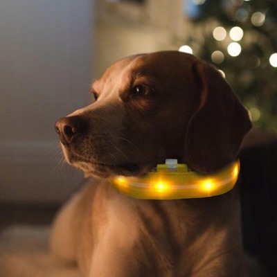 Obroża dla psa na baterie LED Błyszczący nylon