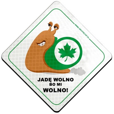 MAGNES REFLECTOR JADE WOLNO BO MI WOLNO WIDOCZNY  