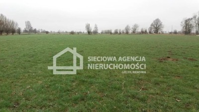 Działka, Mikoszewo, Stegna (gm.), 1605 m²