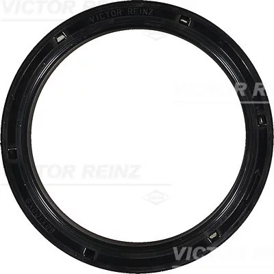 81-35051-00 SEAL 80X100X9 REINZ  