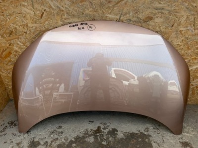 Nissan ariya капот фото №1