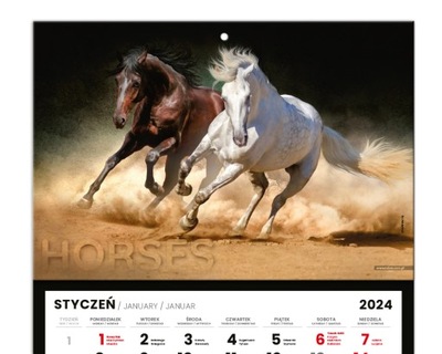 Kalendarz Trójdzielny 2024 - Konie