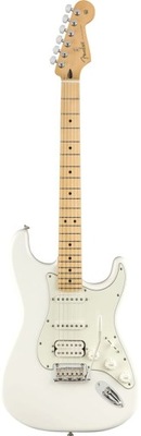 Fender Player Stratocaster HSS MN PWT