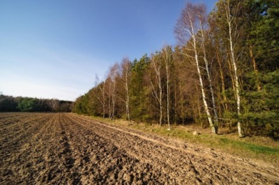 Działka, Słupsk, 801 m²