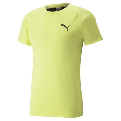 Męska Koszulka RTG TEE LEMON SHERBERT L