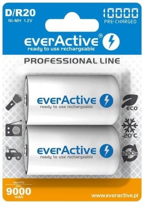 Akumulatorki D / R20 Ni-MH everActive 10000mAh Professional Line (box 2 szt