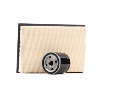 Набор фильтров ridex 4055f1099 do vw golf alltrack vii ba5, bv5 do ford фото №1