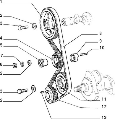 Ремінь розподільного валу fiat palio siena 97-02 фото №1