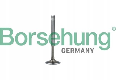 Borsehung b19010 клапан випускний фото №1