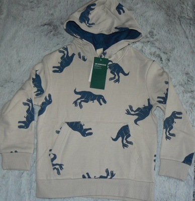 H&M bluza dinozaury r.134/140